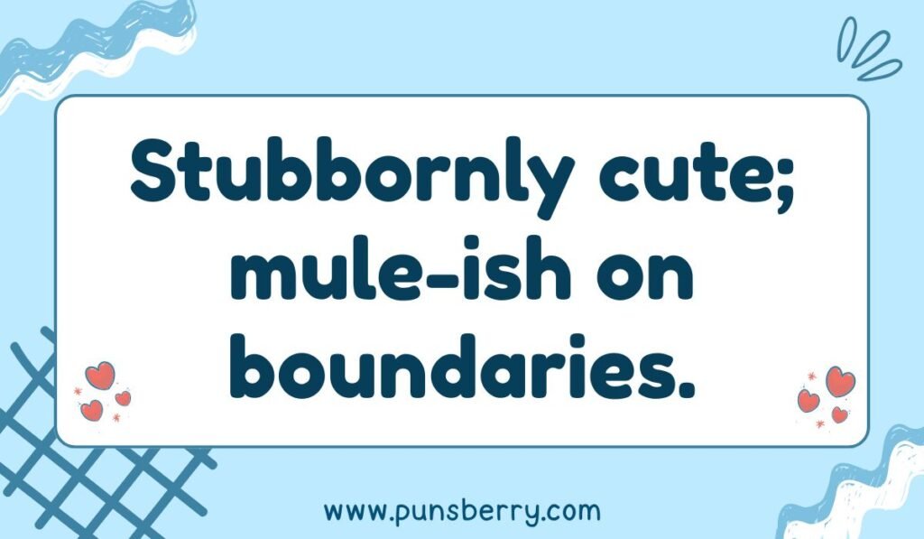 Cute donkey pun with text “Stubbornly cute; mule-ish on boundaries” – stubborn mule wordplay joke.