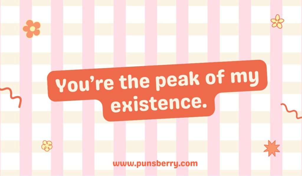 Sweet mountain pun: "You're the peak of my existence." romantic geography humor.