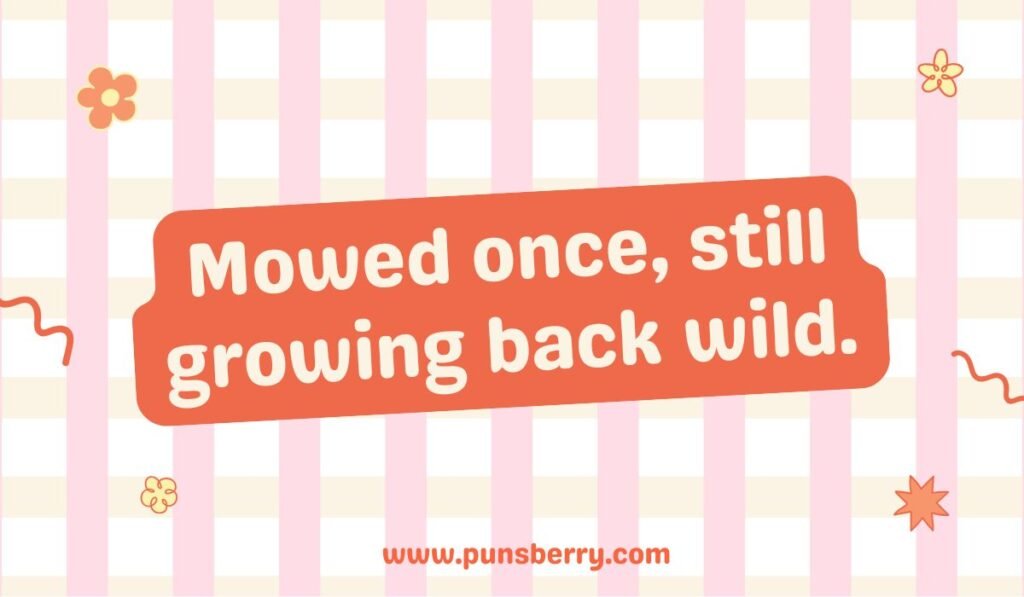 Funny mowing pun: "Mowed once, still growing back wild." Grass and lawn humor quote on an orange banner over a pink striped background.