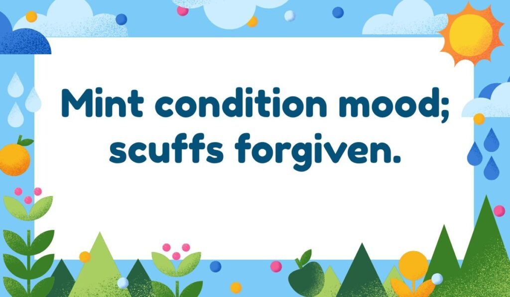 Mint condition mood scuffs forgiven pun – playful mint pun about forgiveness and fresh mood.