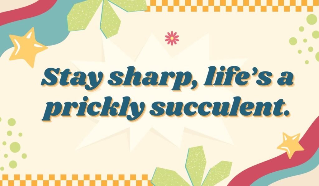 Motivational succulent pun: "Stay sharp, life's a prickly succulent." Cactus humor with a retro design, stars, and checkered borders.