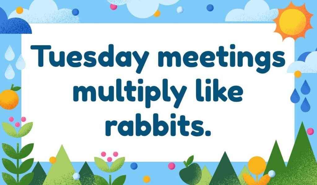 Tuesday meetings multiply like rabbits – office joke and Tuesday pun
