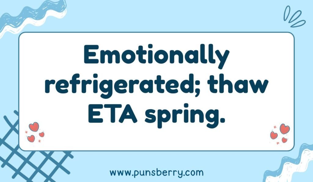 Emotional cold pun about seasonal thaw with text "Emotionally refrigerated; thaw ETA spring." Winter mood humor.