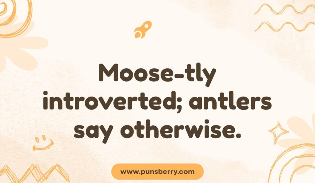 Maine moose pun: "Moose-tly introverted; antlers say otherwise."