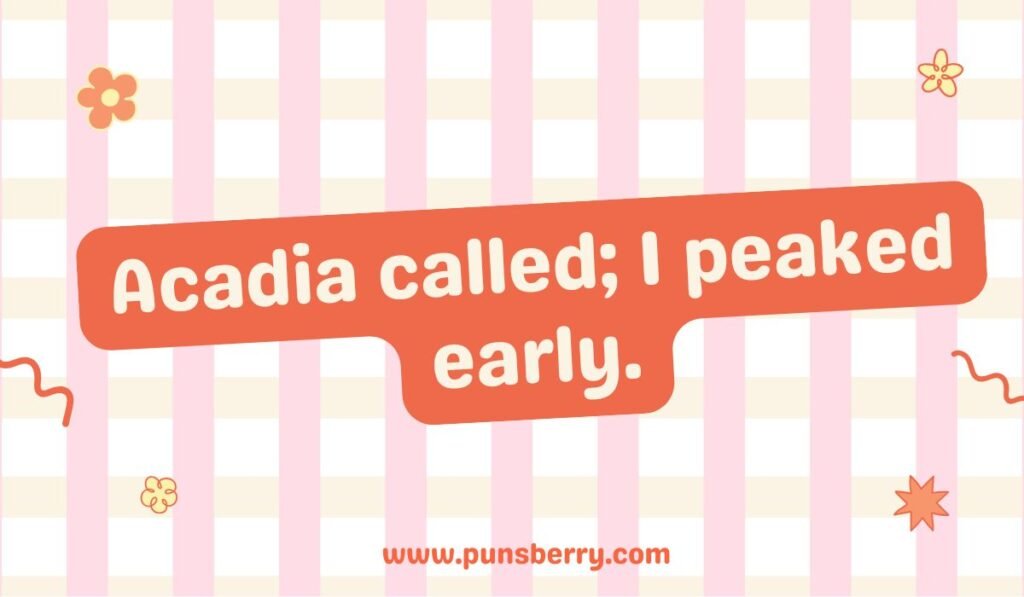 Acadia National Park pun: "Acadia called; I peaked early."