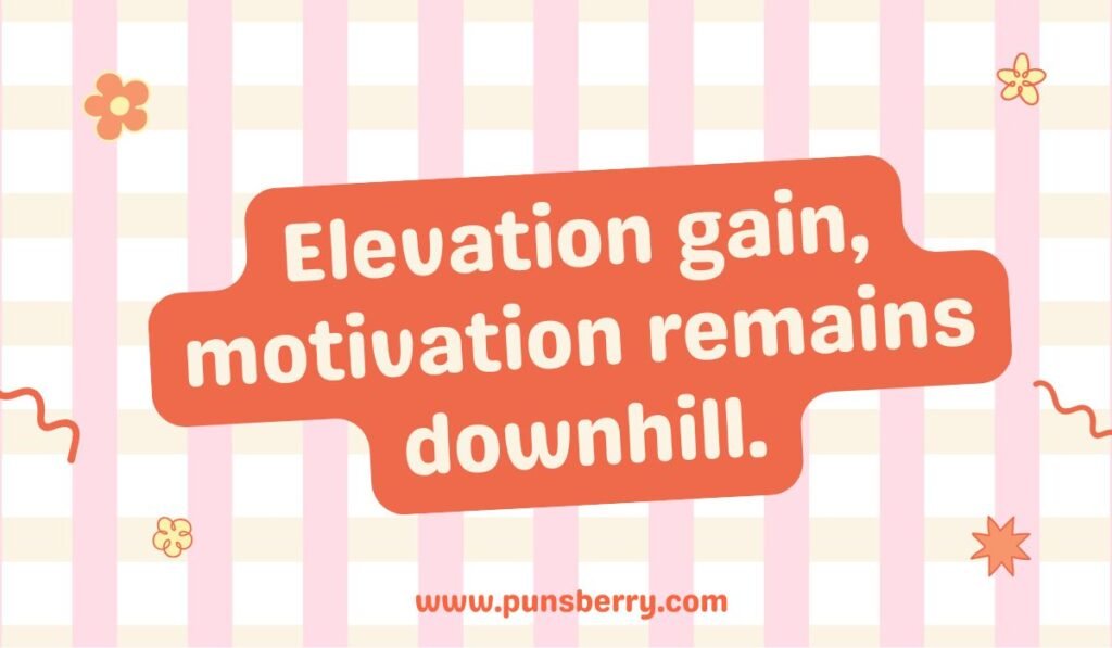 Colorado hiking pun: "Elevation gain, motivation remains downhill."