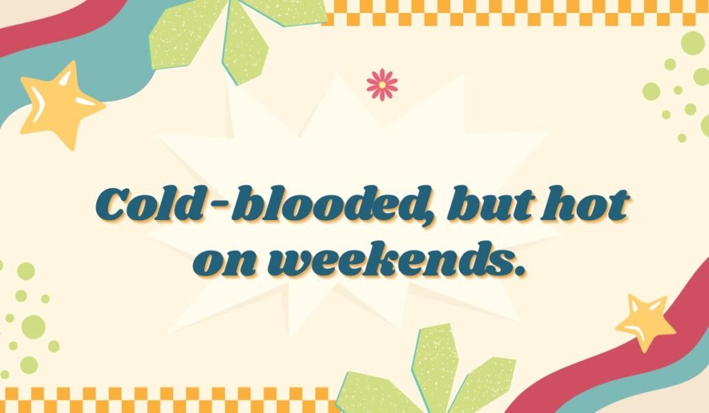 Funny gecko pun: "Cold-blooded, but hot on weekends." A humorous lizard joke for a puns collection.