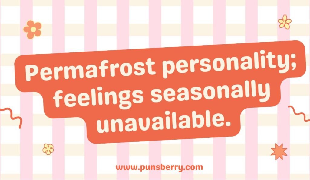 "Permafrost pun about personality: Permafrost personality; feelings seasonally unavailable."
