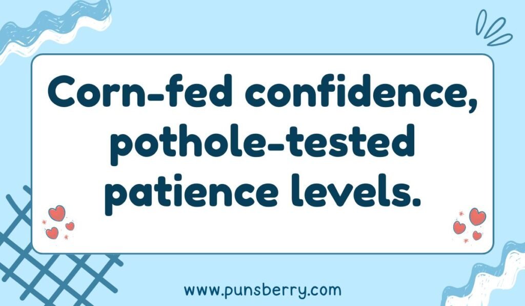 Midwest humor pun: Corn-fed confidence, pothole-tested patience levels.
