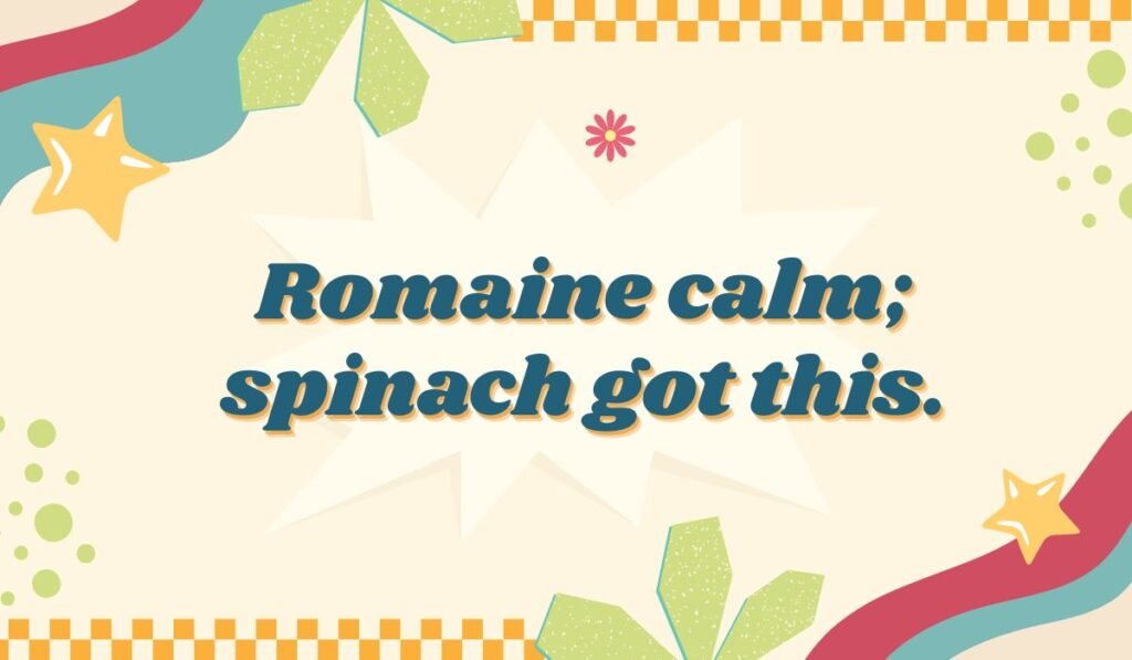 Pun mixing lettuce types, in a colorful, retro-style design with stars and gingham accents.