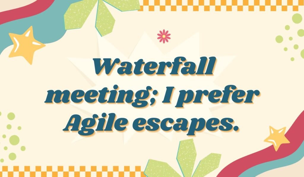"Project management pun: Waterfall meeting; I prefer Agile escapes."